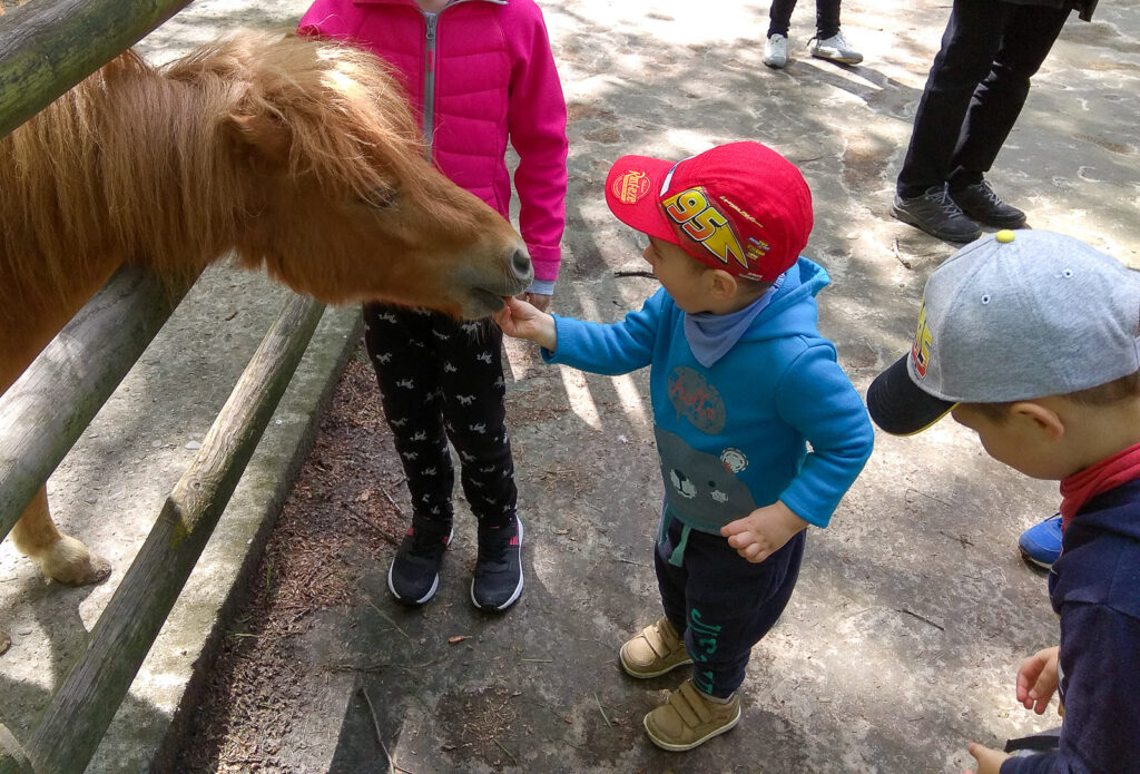 krakow with kids (33)