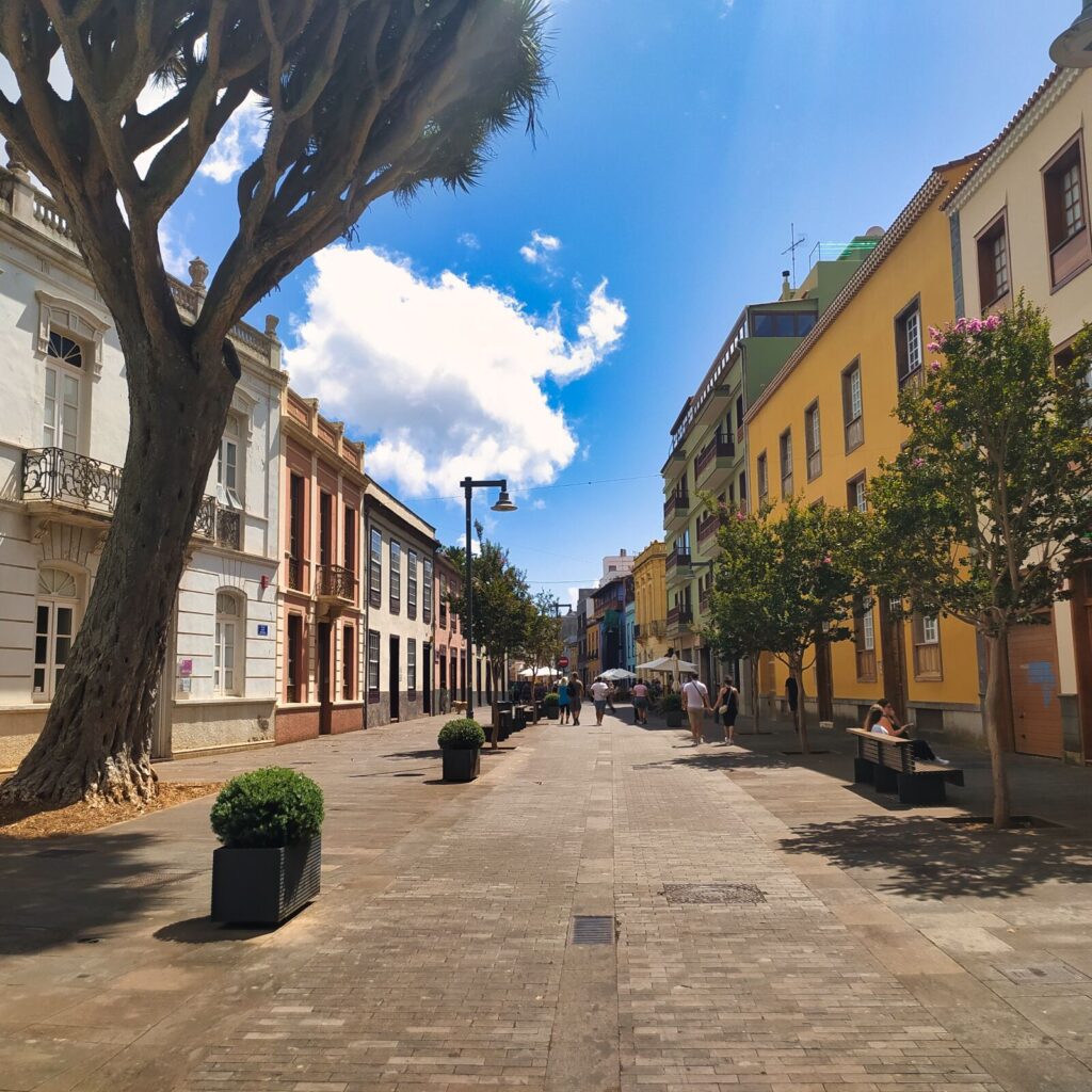 north or south tenerife (15)