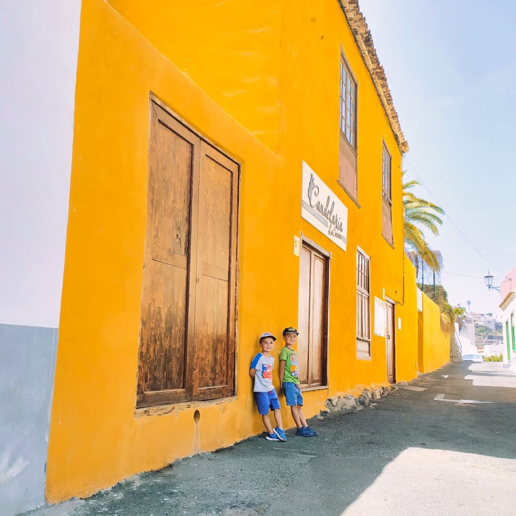 north or south tenerife (21)