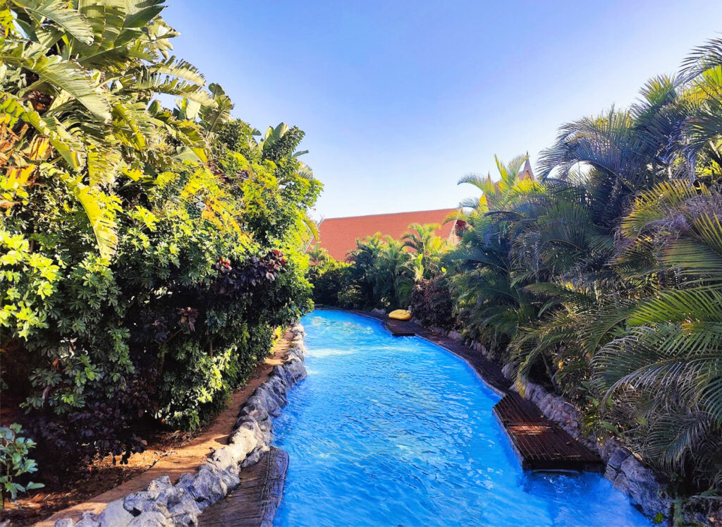 north or south tenerife (29)