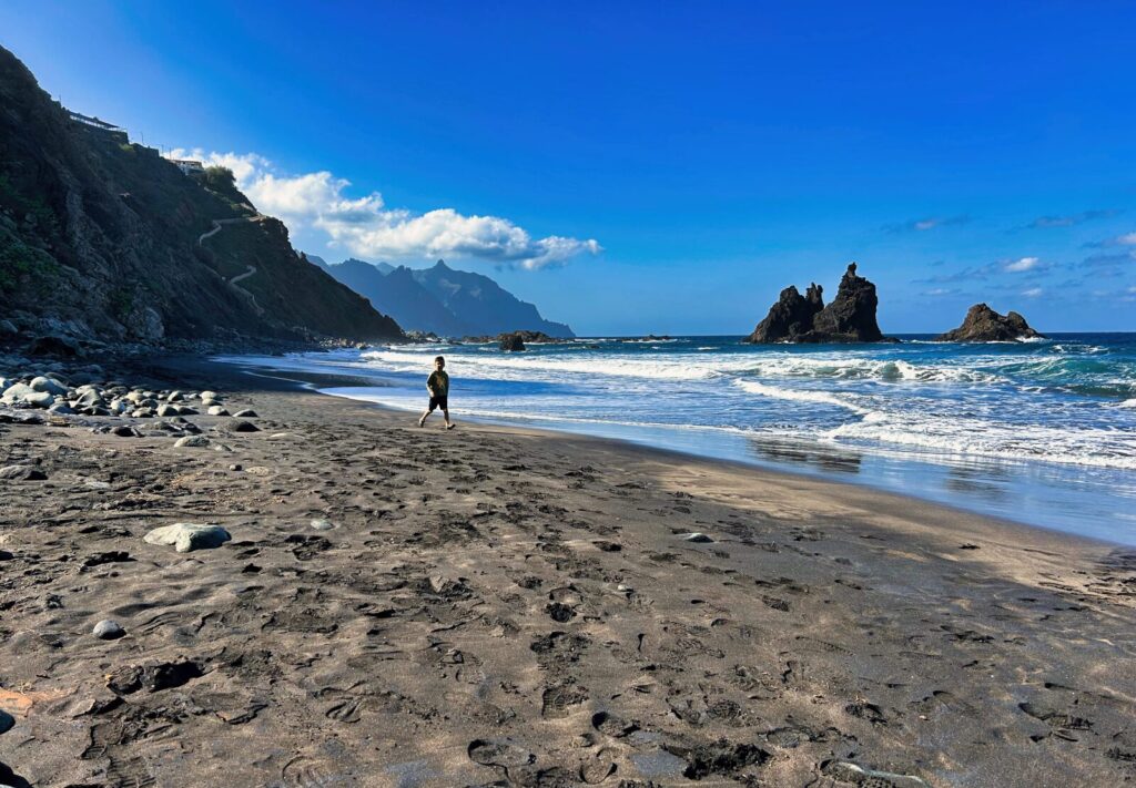 north or south tenerife (3)