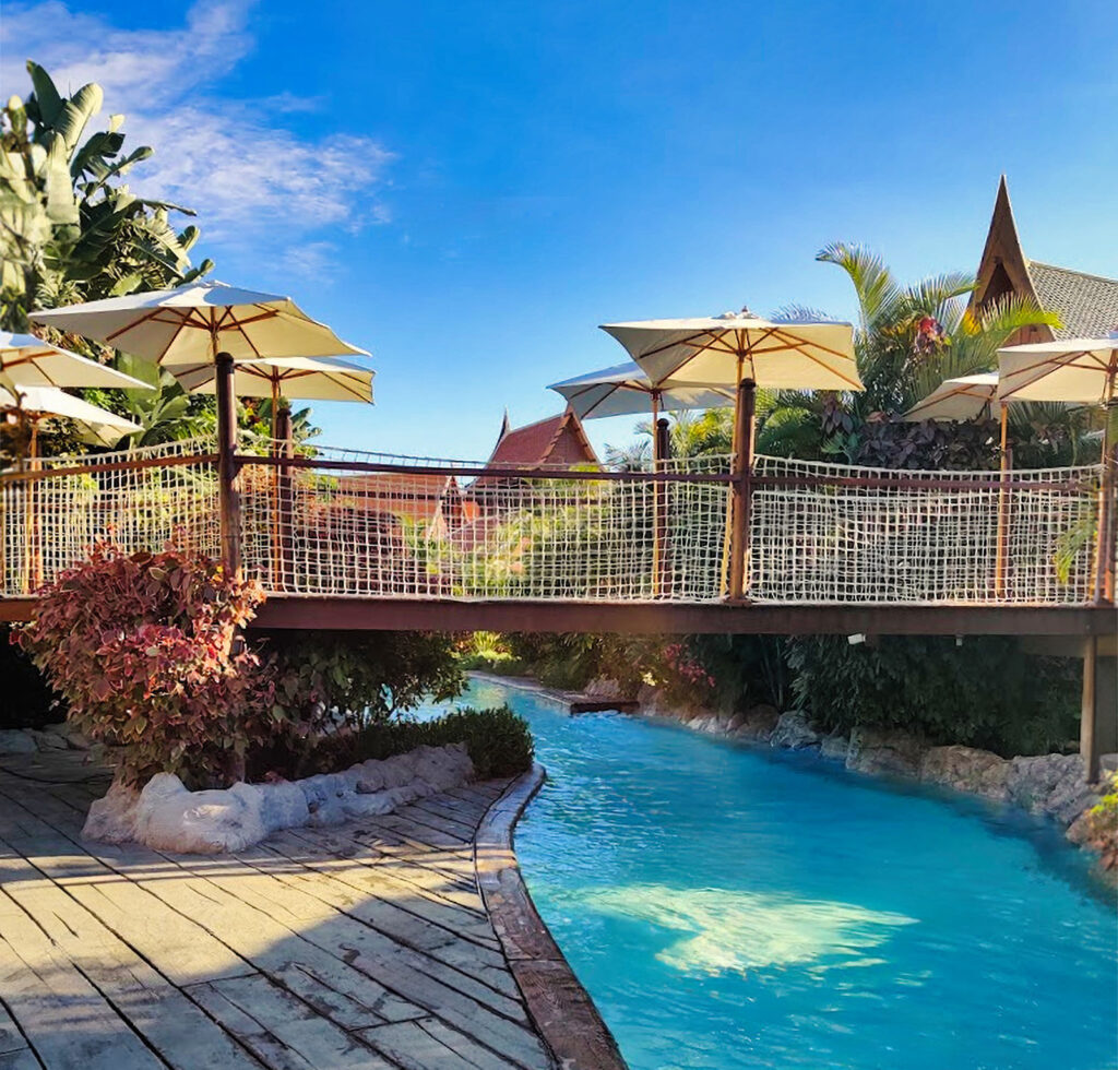 north or south tenerife (30)