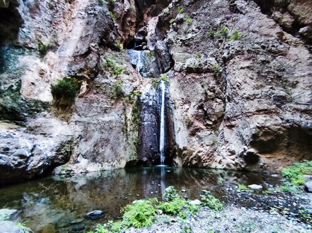 tenerife hiking Barranco del Infierno (8)