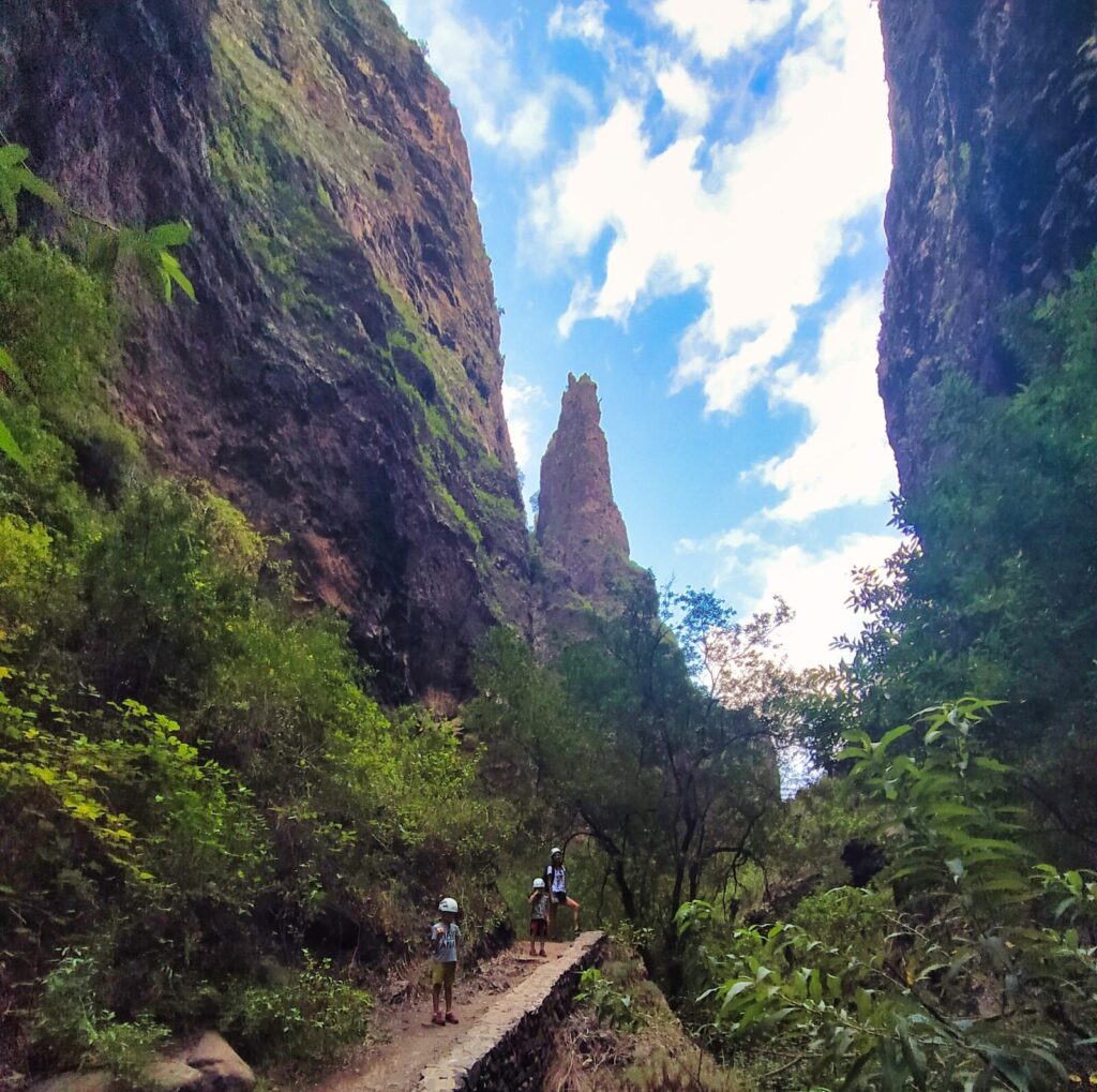 tenerife hiking Barranco del Infierno (9)
