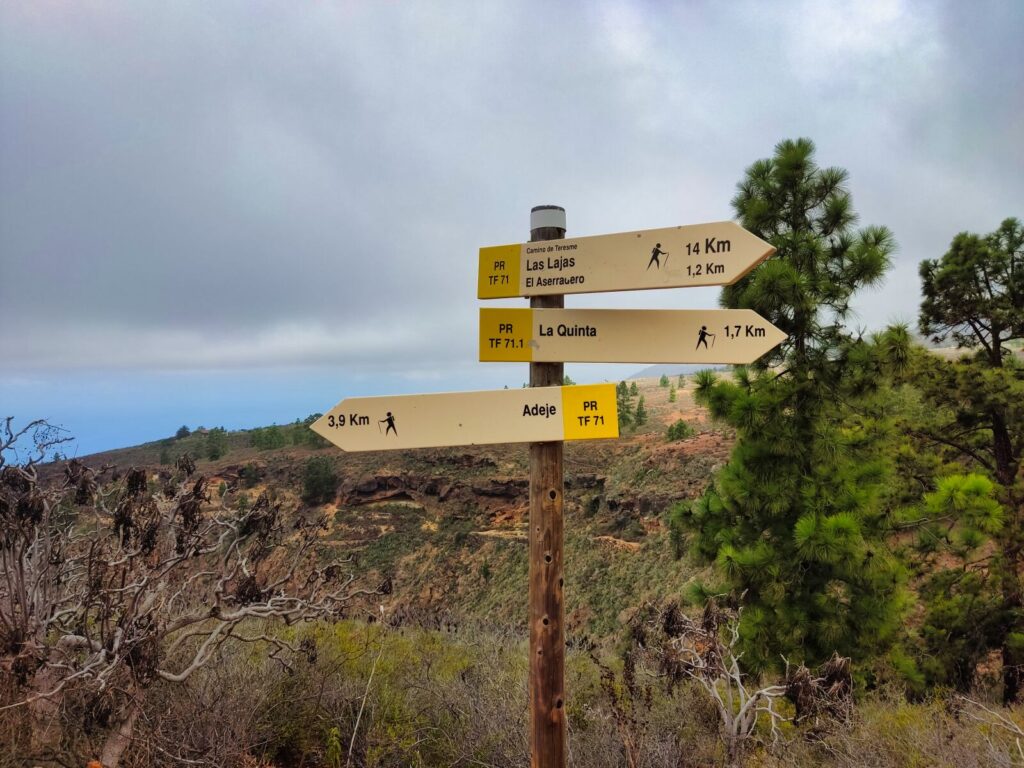 tenerife hiking La Quinta Boca del Paso (3)
