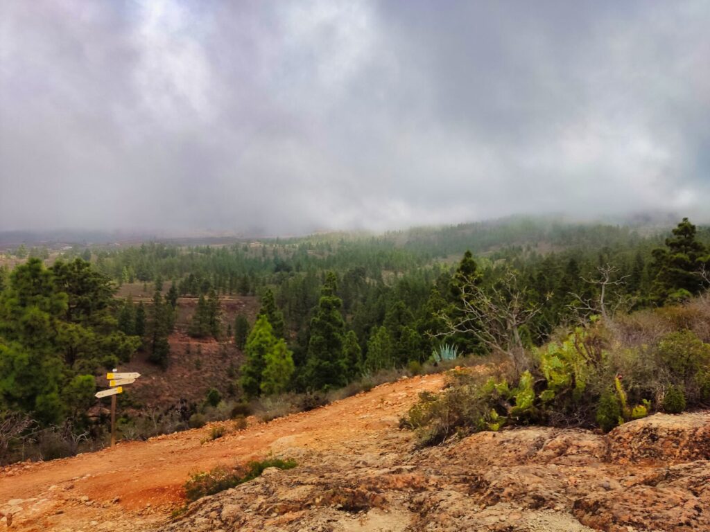tenerife hiking La Quinta Boca del Paso (4)