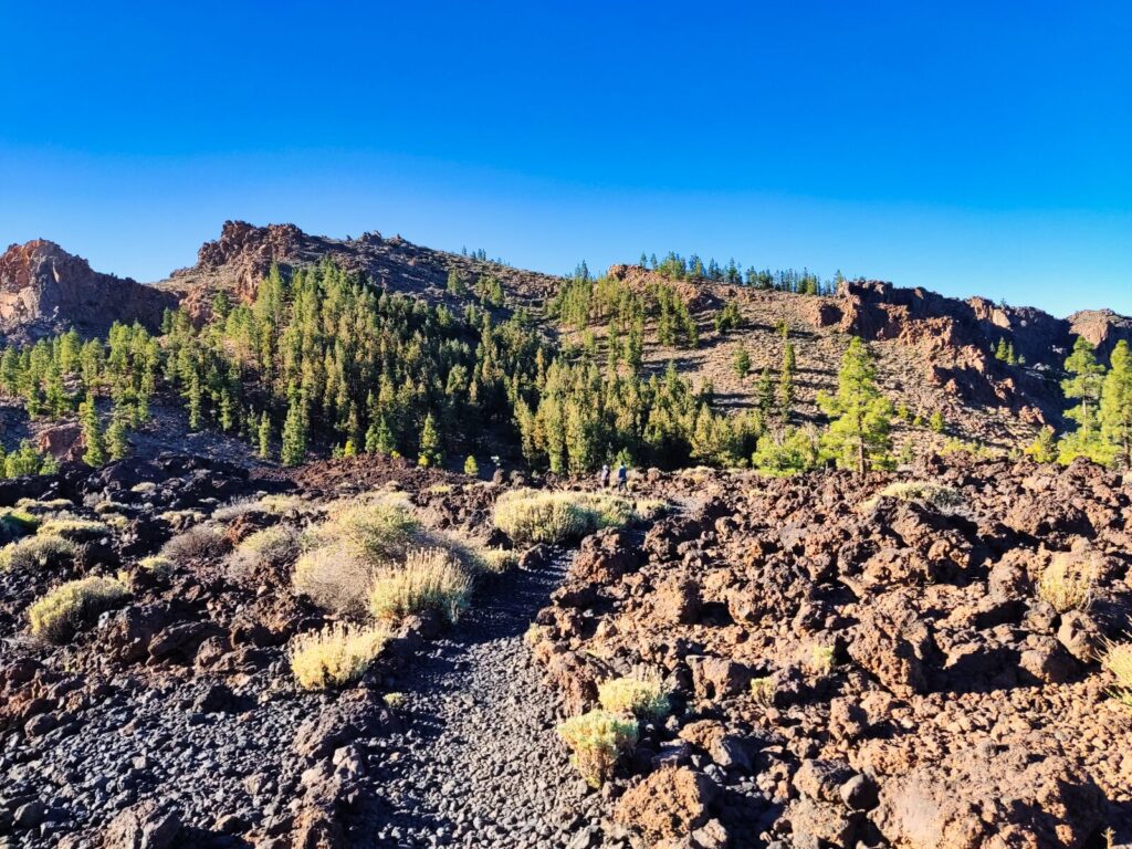 tenerife hiking Mirador Narices del Teide Refugio de Chasogo (11)