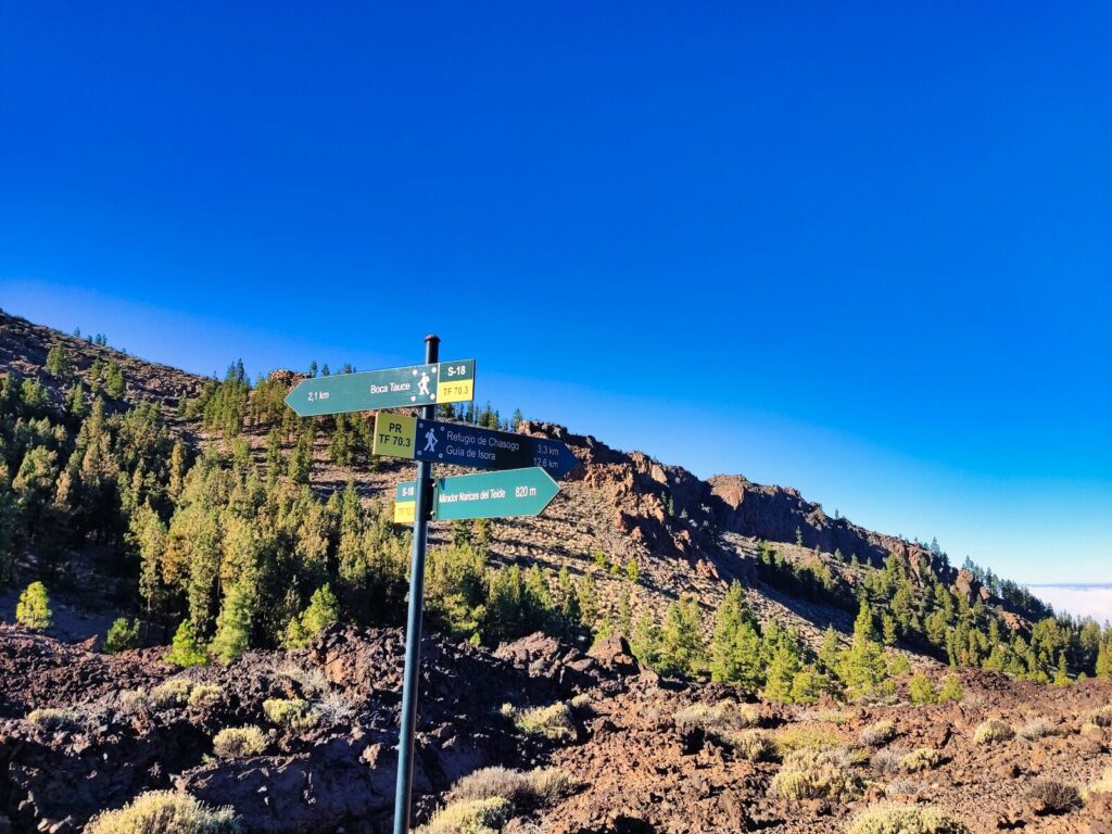 tenerife hiking Mirador Narices del Teide Refugio de Chasogo (12)