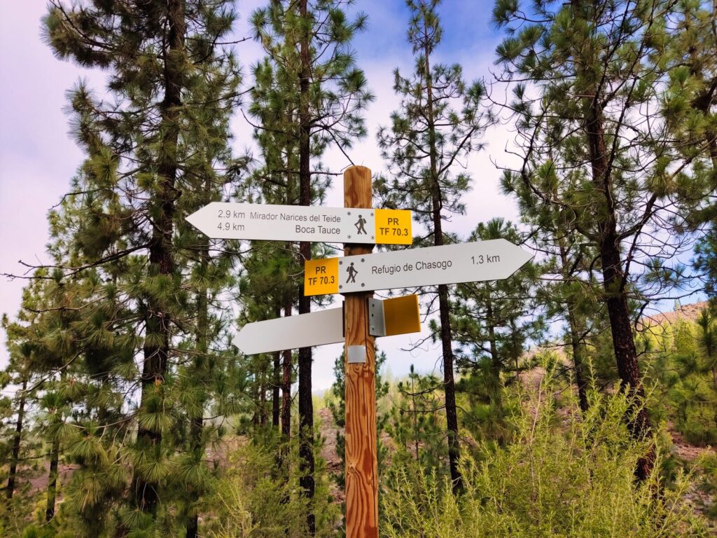 tenerife hiking Mirador Narices del Teide Refugio de Chasogo (18)