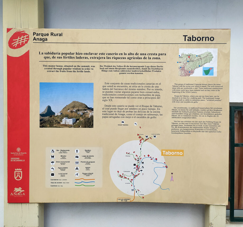 tenerife hiking Roque de Taborno(12)