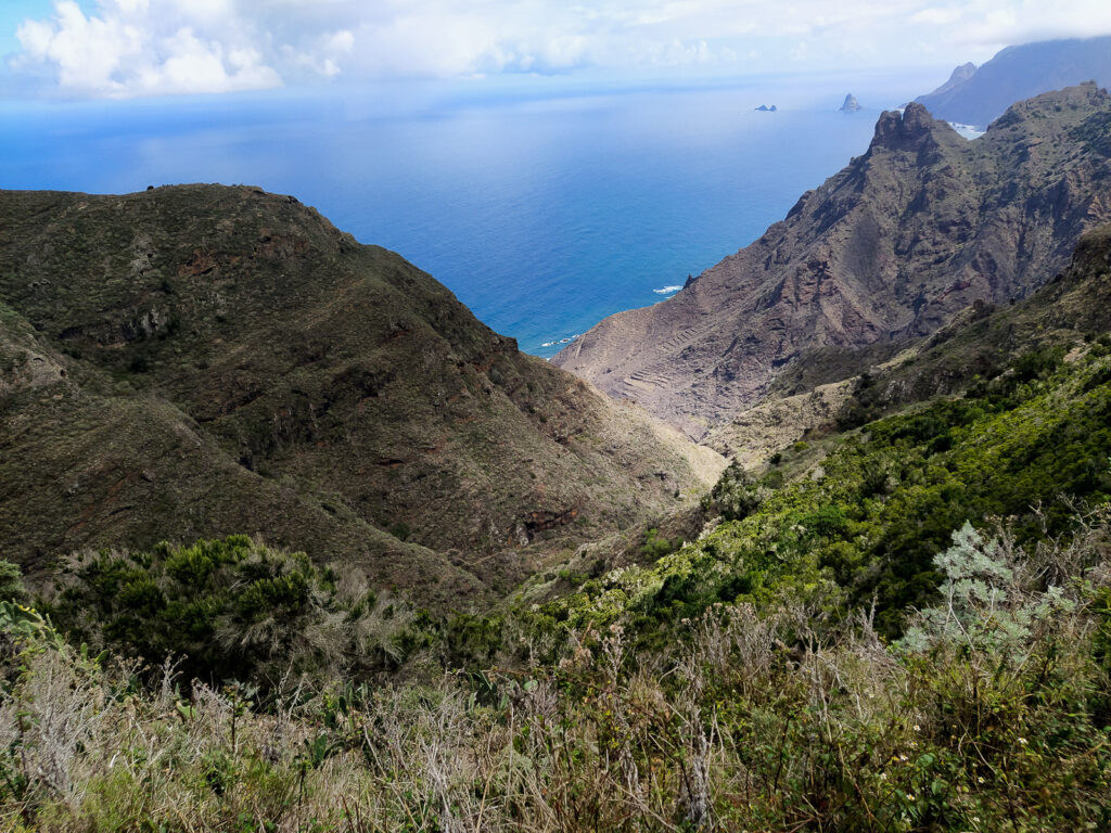 tenerife hiking Roque de Taborno(7)