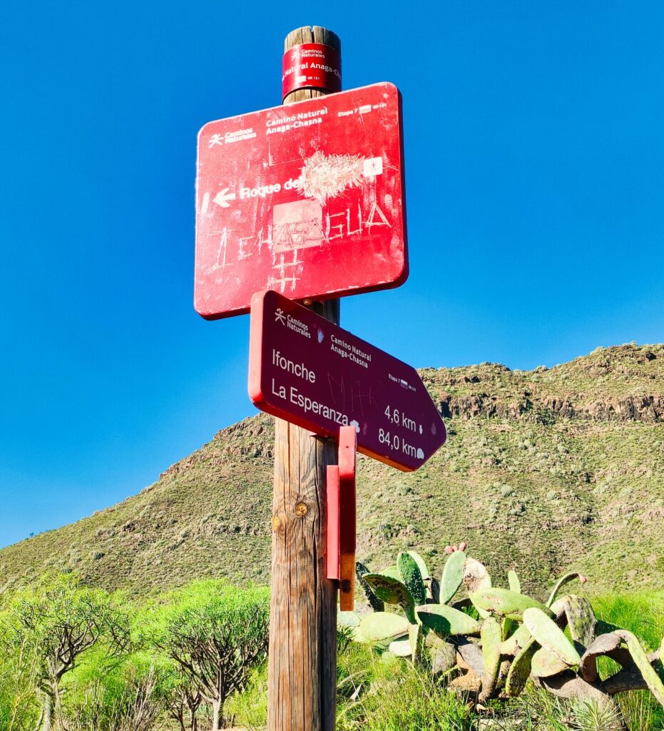 tenerife hiking Roque del Conde