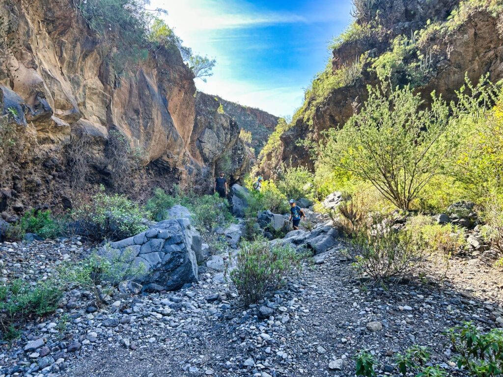 tenerife hiking Roque del Conde