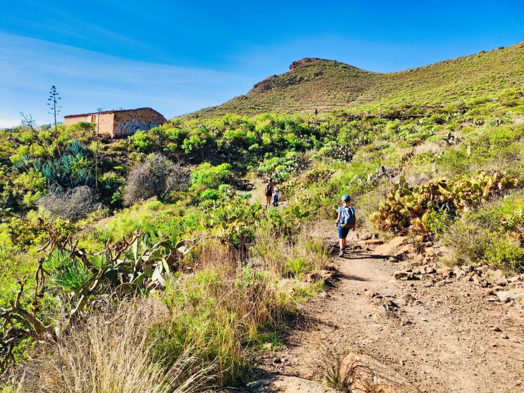 tenerife hiking Roque del Conde