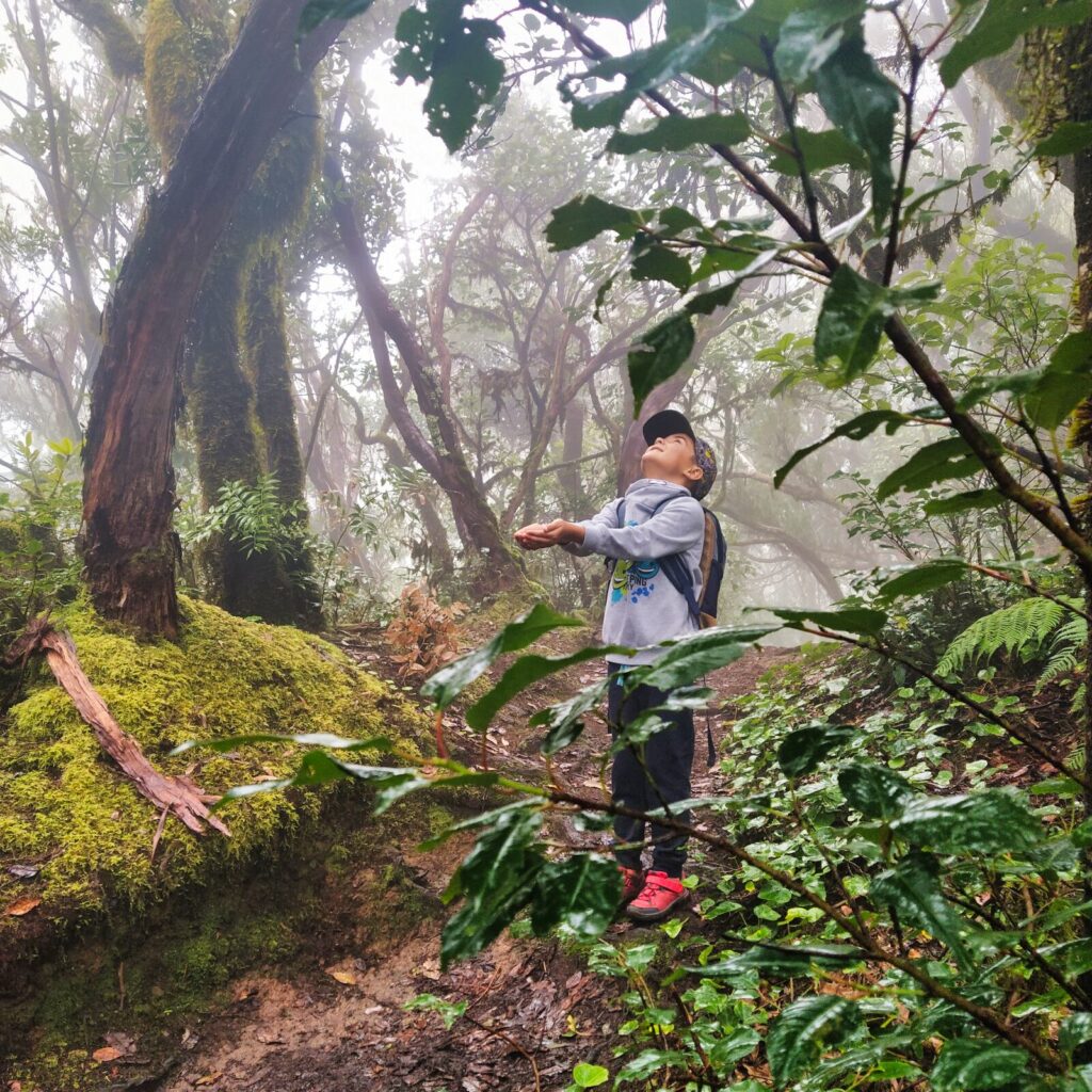 tenerife hiking el Pijaral (6)