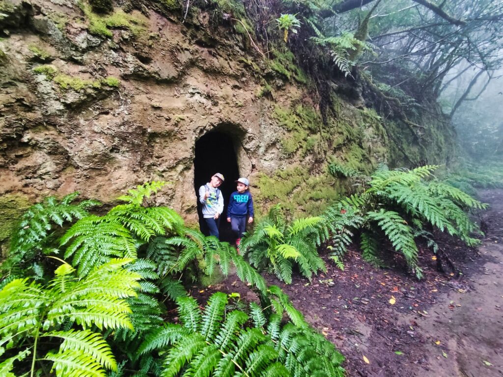 tenerife hiking el Pijaral (8)