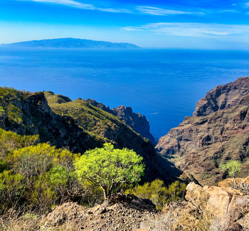 tenerife hiking el agujero (12)