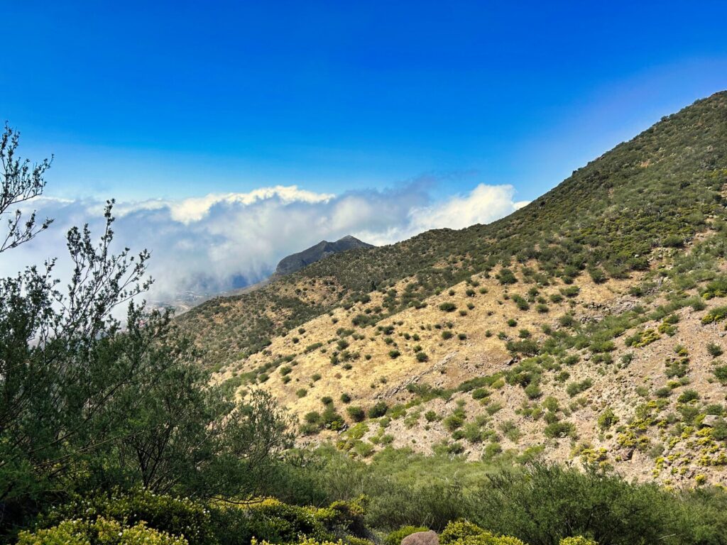 tenerife hiking erjos (3)
