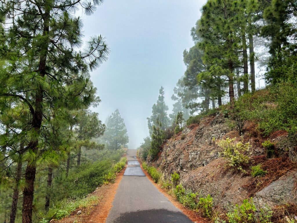 tenerife hiking erjos (8)