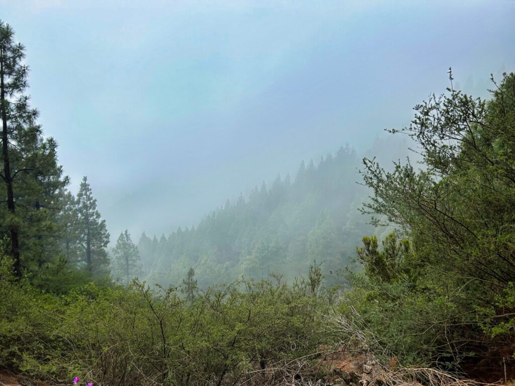 tenerife hiking erjos (9)