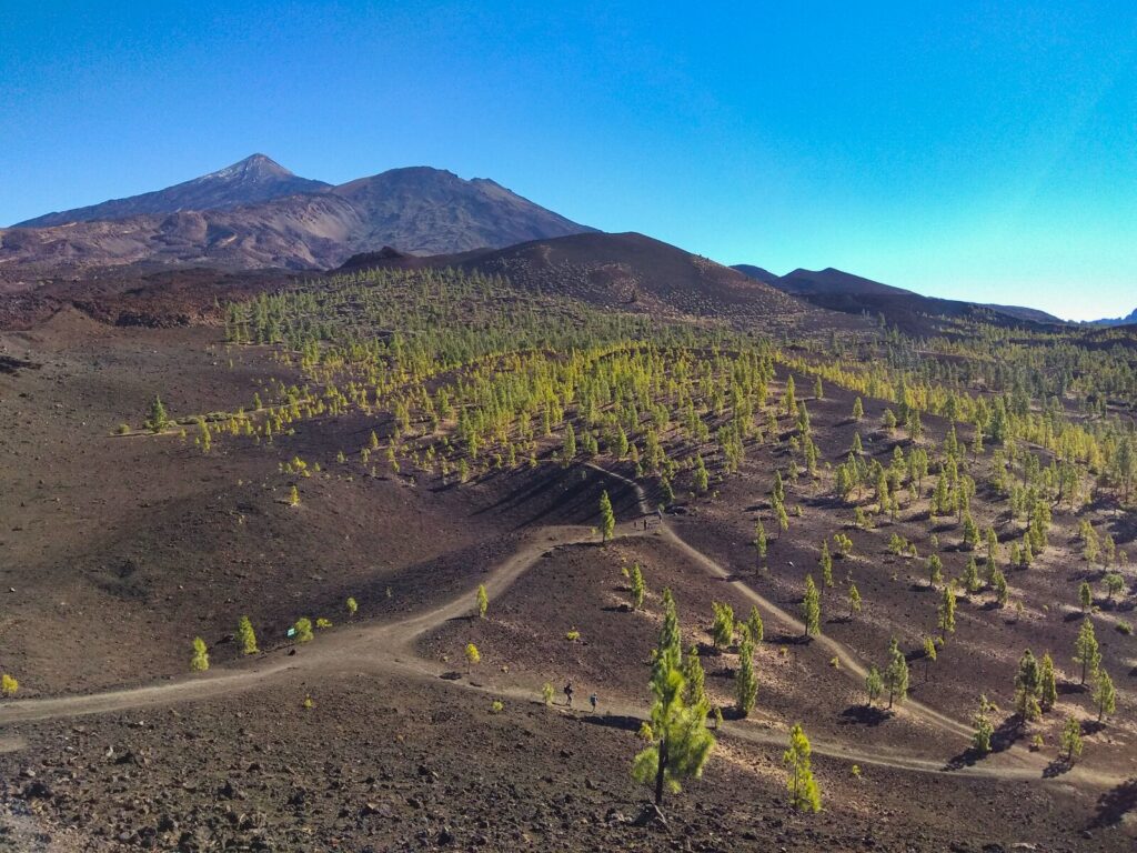 tenerife hiking mirador de samara (13)
