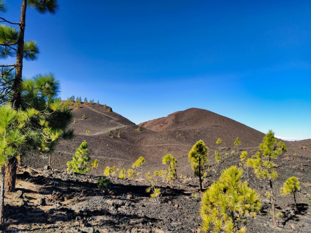 tenerife hiking mirador de samara (14)