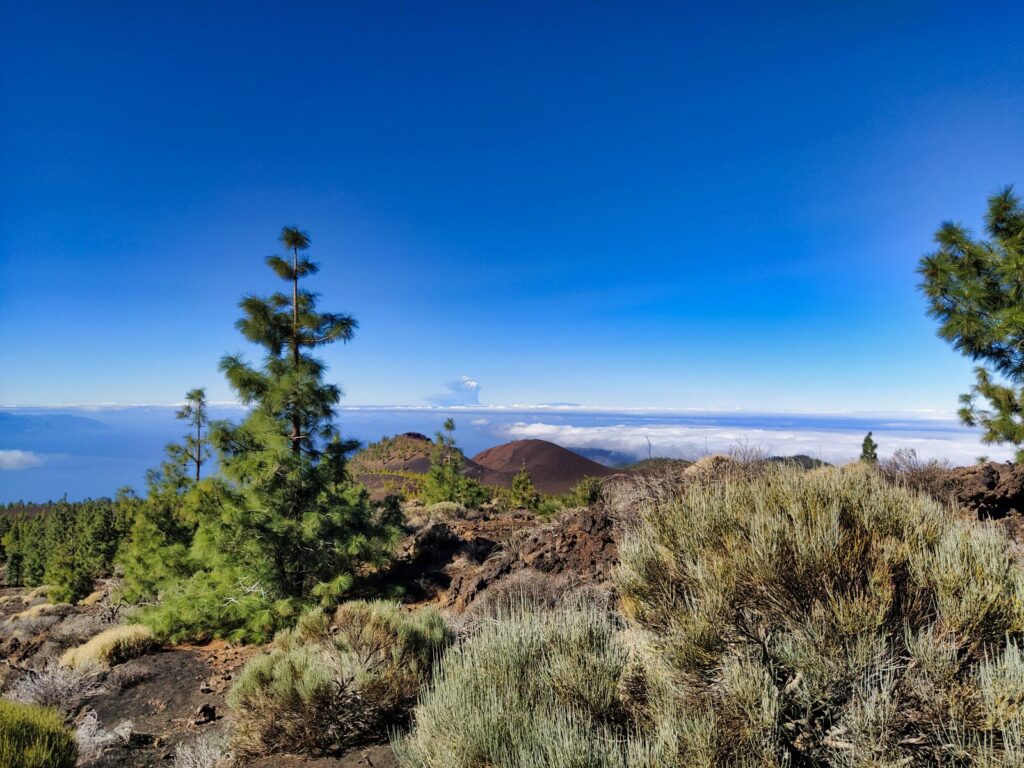 tenerife hiking mirador de samara (15)