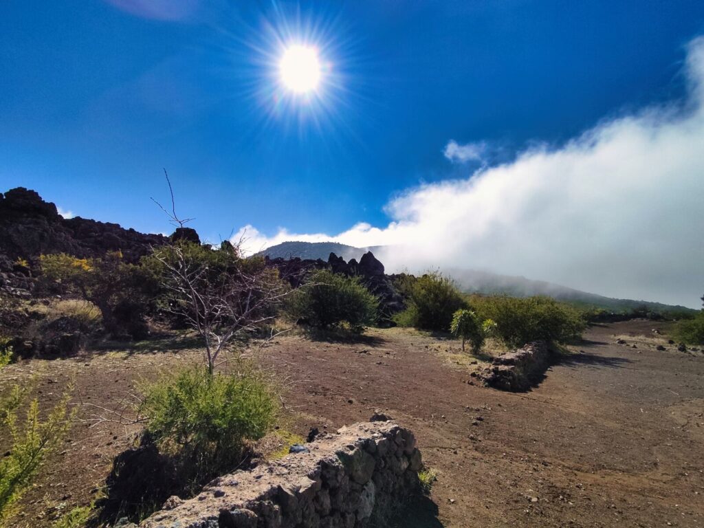 tenerife hiking montana negra (3)