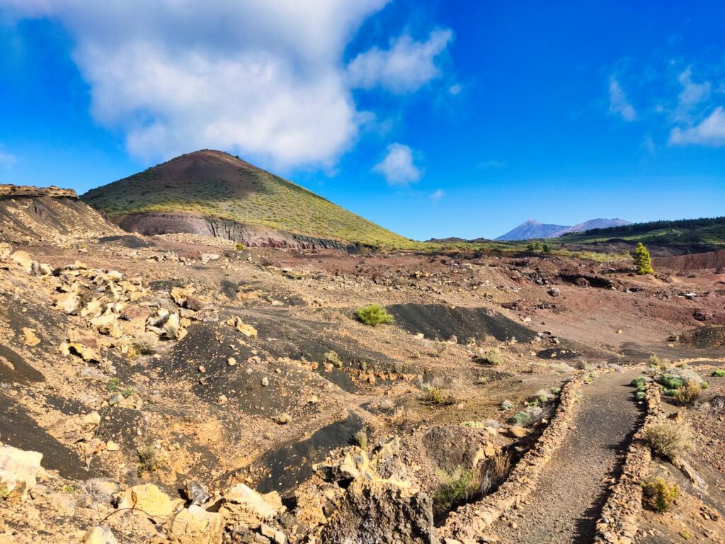 tenerife hiking montana negra (6)