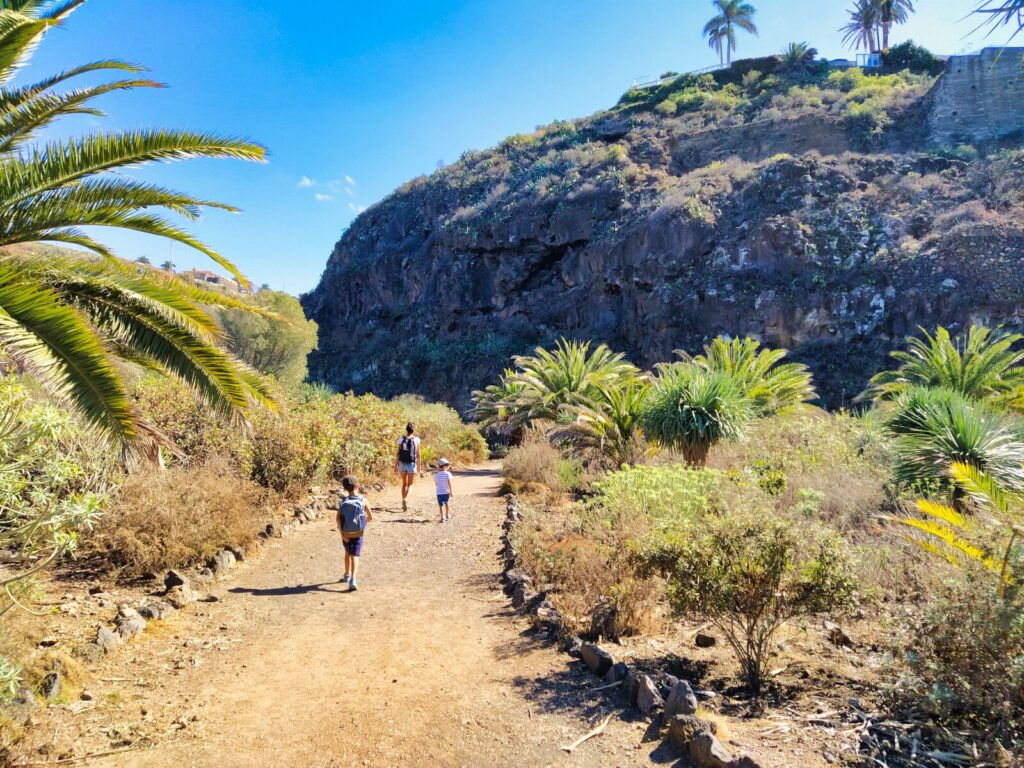 tenerife hiking rambla de castro (21)