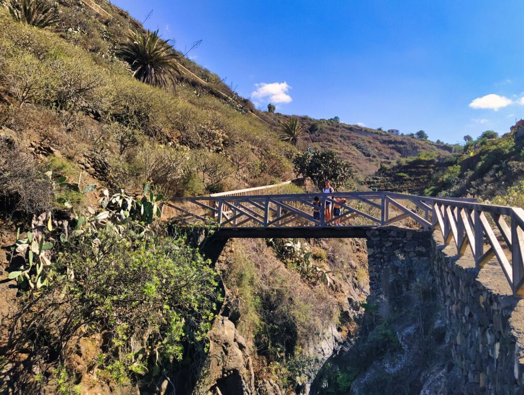 tenerife hiking rambla de castro (22)