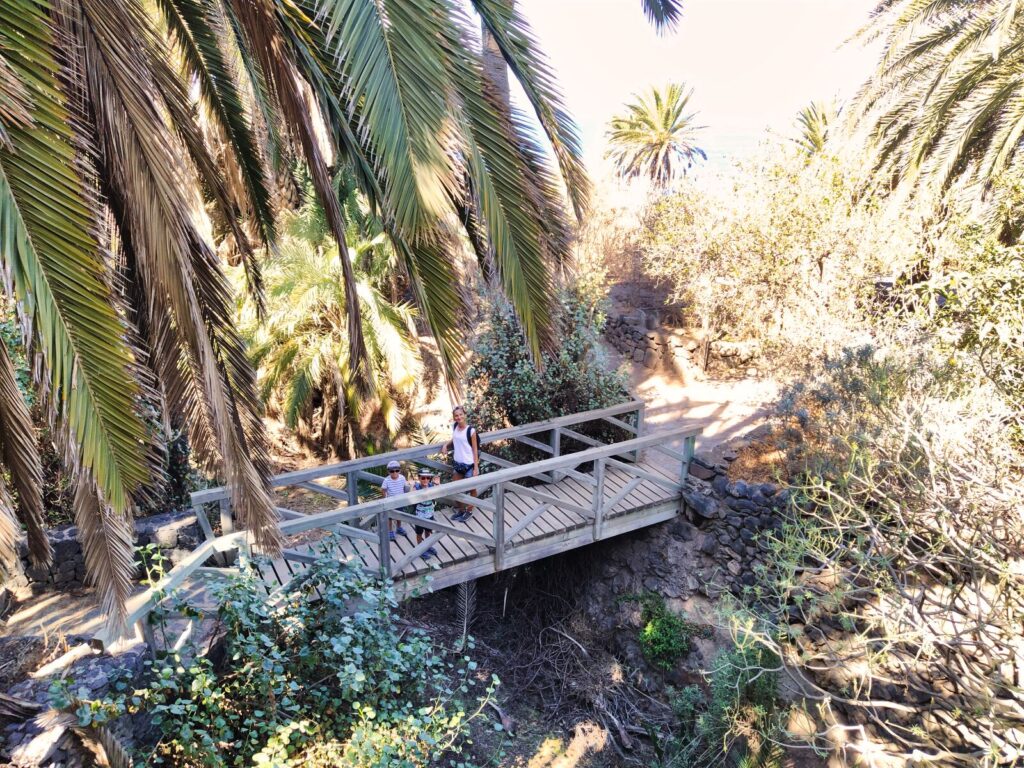 tenerife hiking rambla de castro (8)