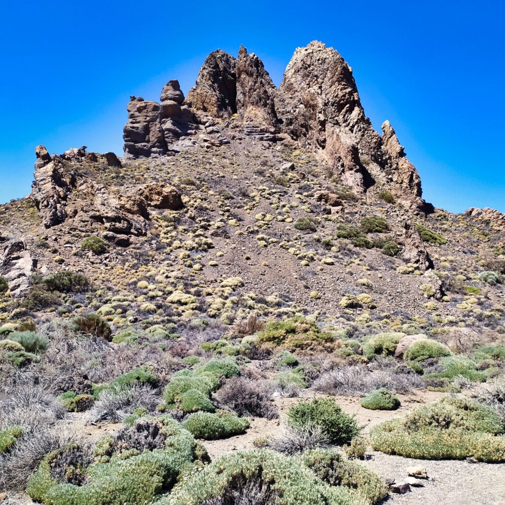 tenerife hiking roque de garcia (9)