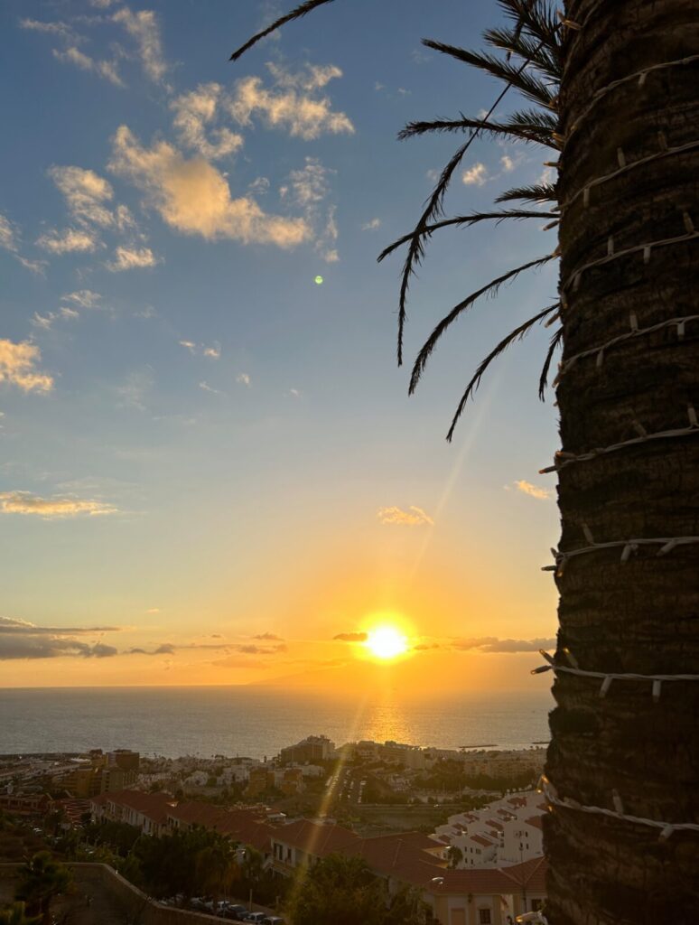 tenerife restaurants (4)