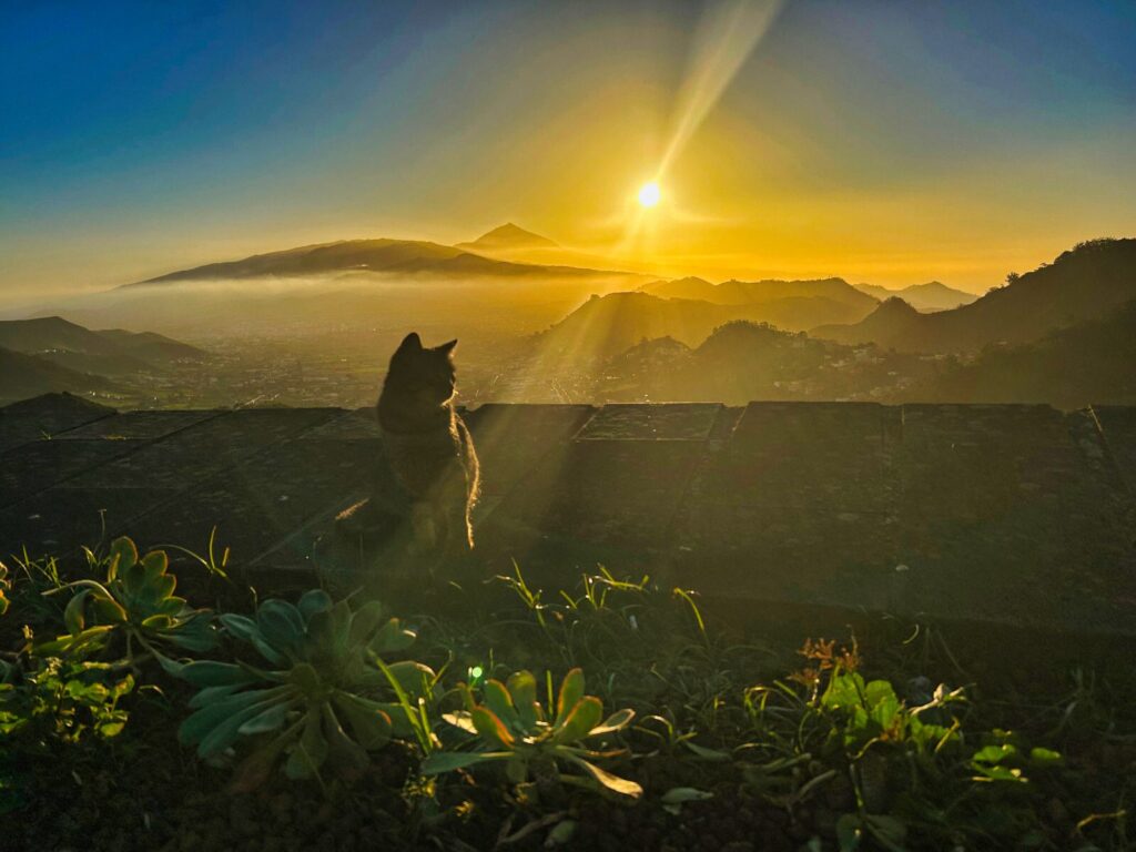 tenerife viewpoints (10)