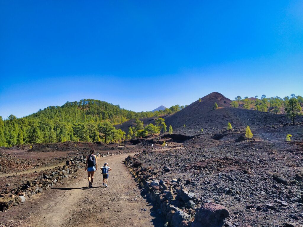 treking hiking chinyero (12)