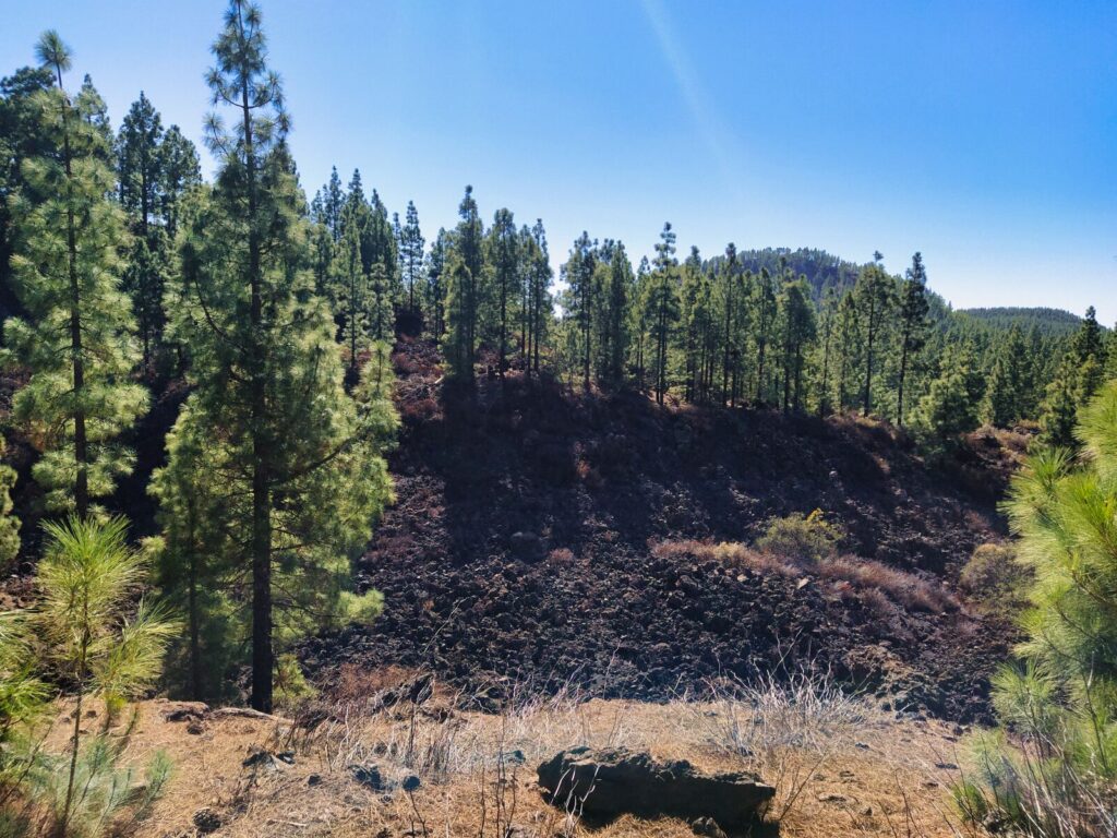 treking hiking chinyero (6)