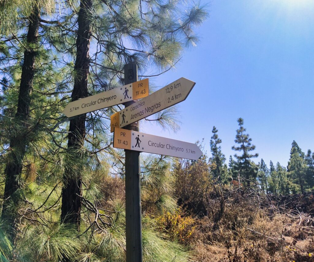 treking hiking chinyero (7)