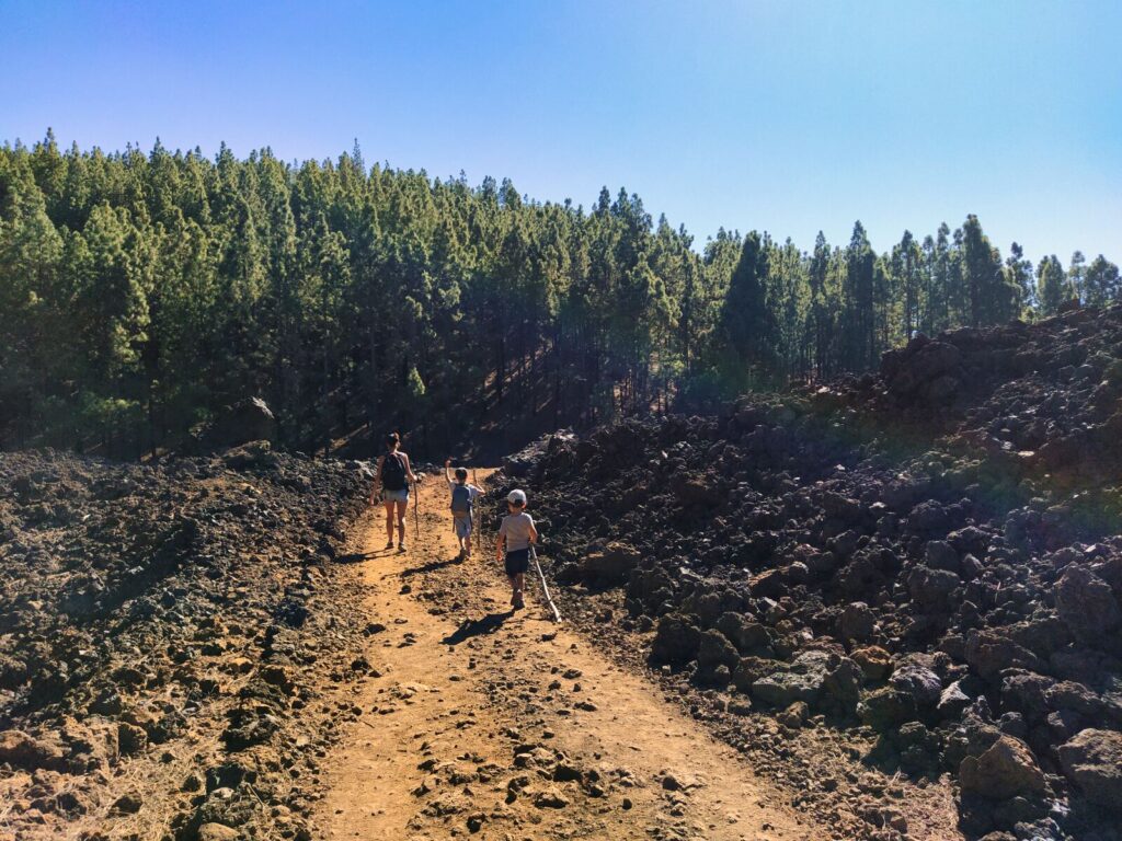 treking hiking chinyero (9)