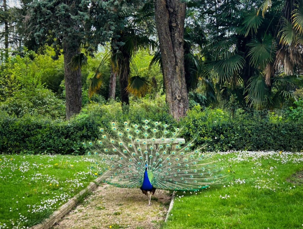 Madrid with kids (141)