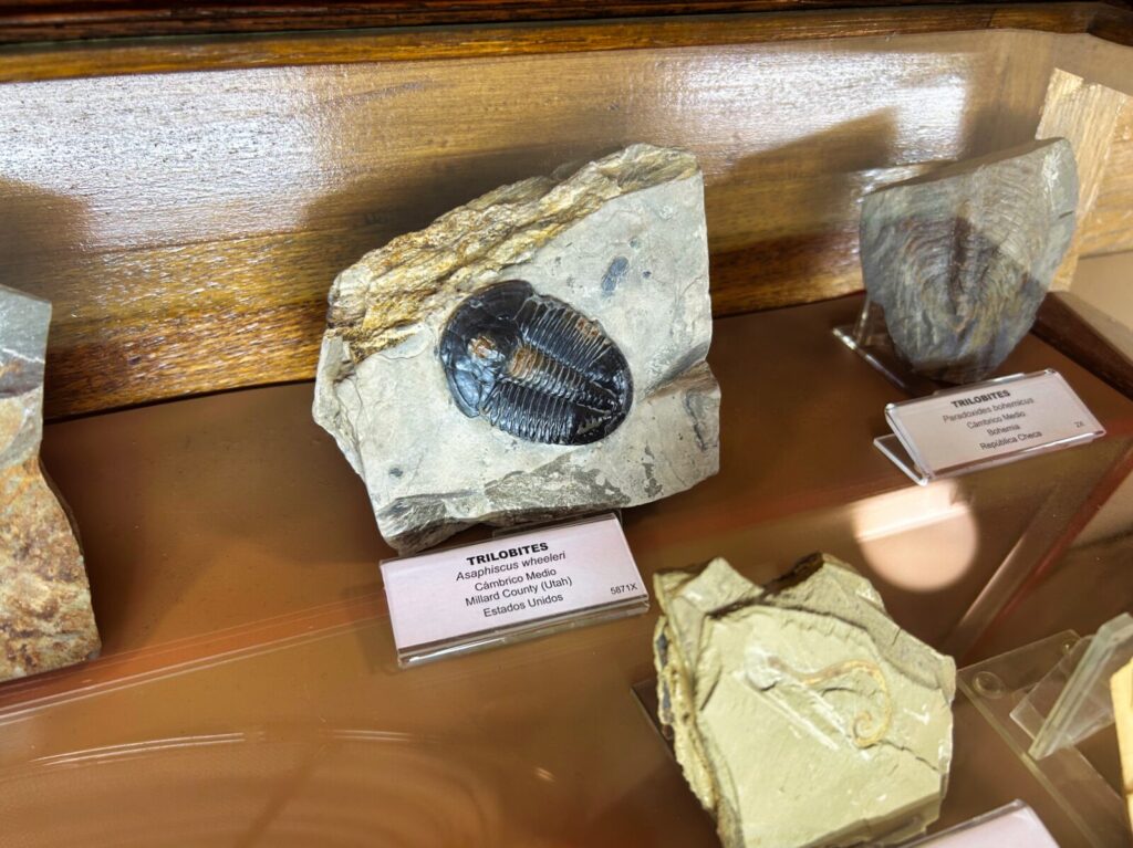 Madrid with kids (153)