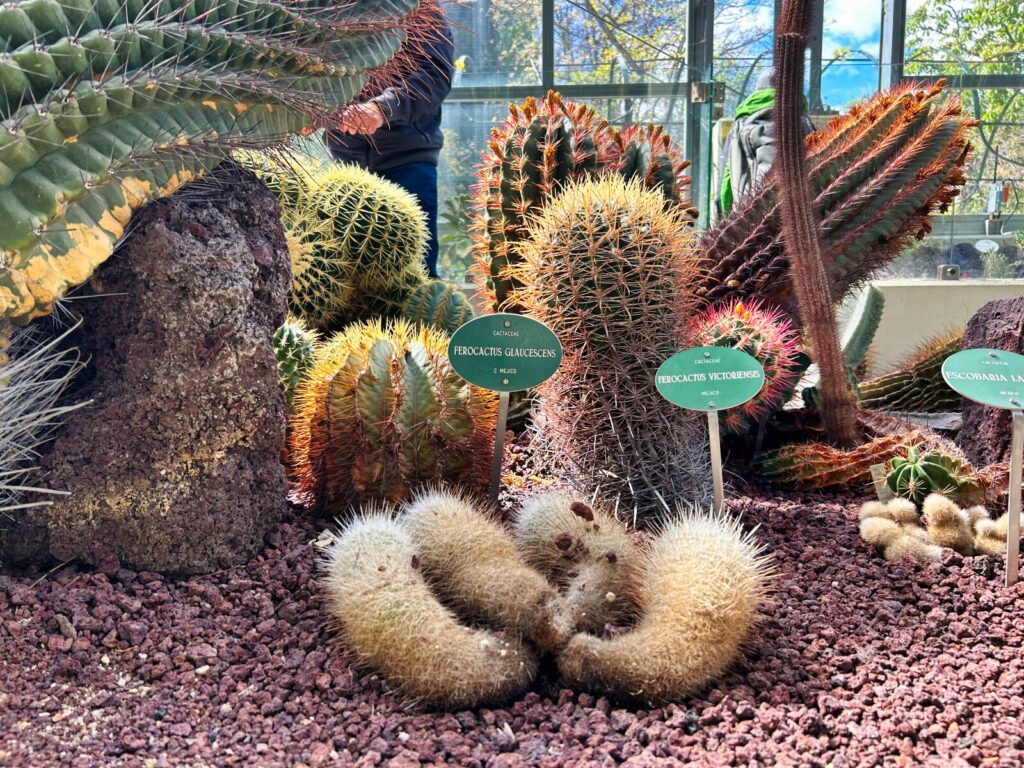 Madrid with kids (83)