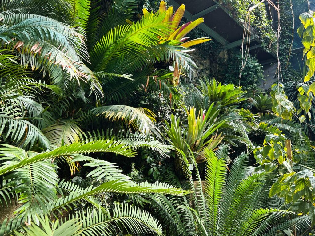 Madrid with kids (84)