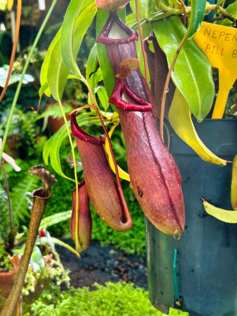 Madrid with kids (85)