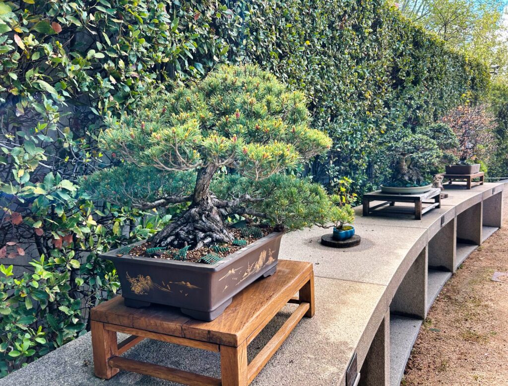 Madrid with kids (86)