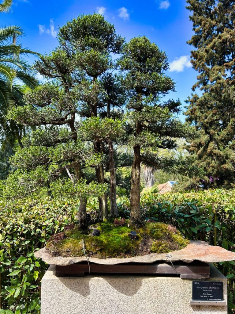 Madrid with kids (87)