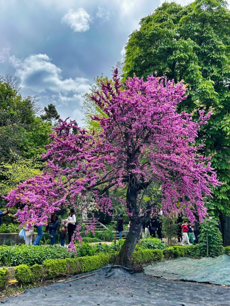 Madrid with kids (88)