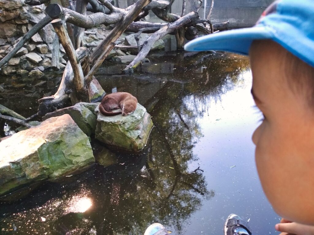 Warsaw with kids (162)