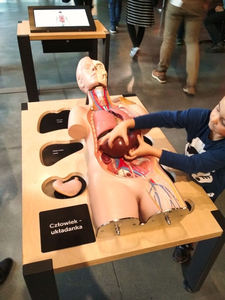 Warsaw with kids (168)