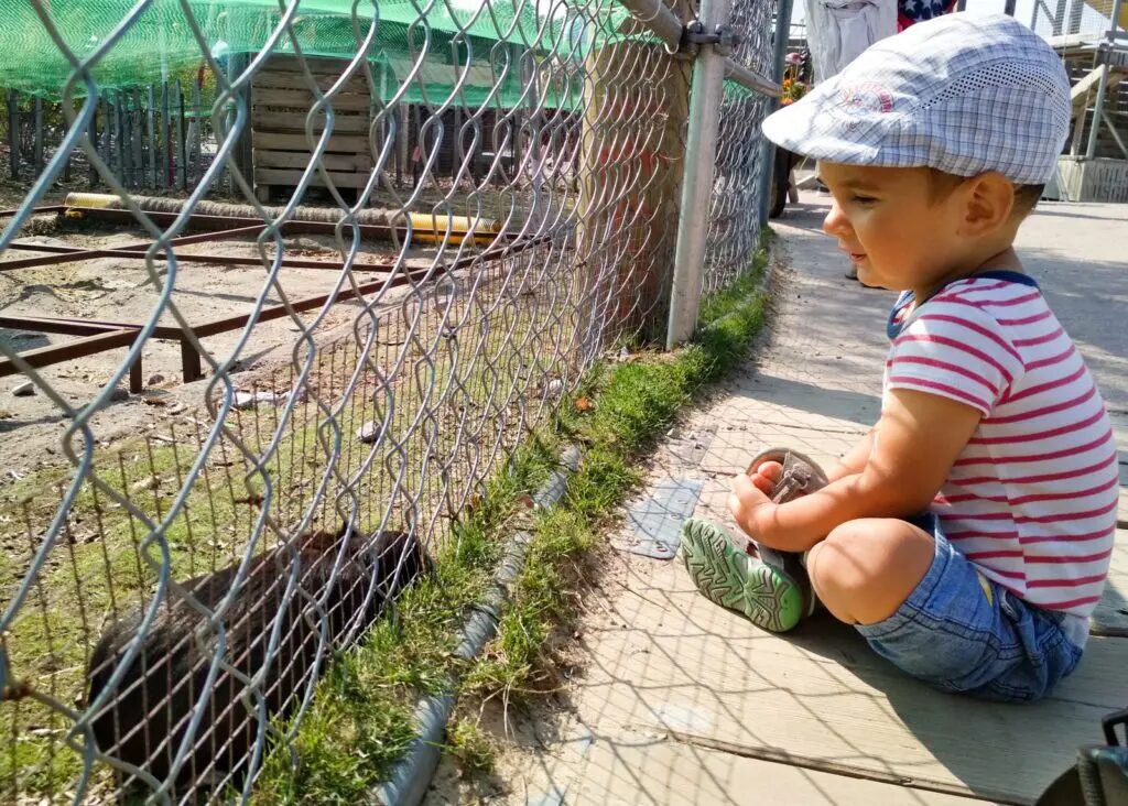 Strawberry Village Berlin